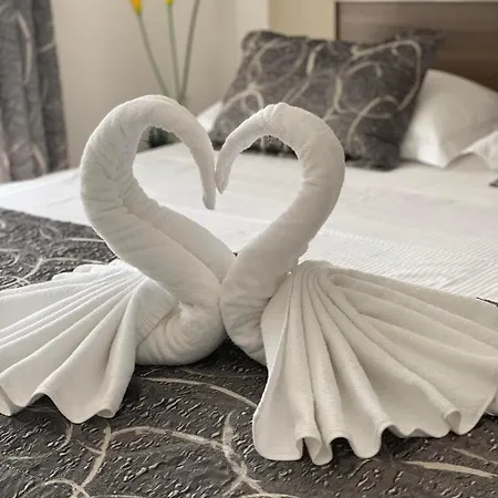 Ivo 公寓 普罗马尼亚