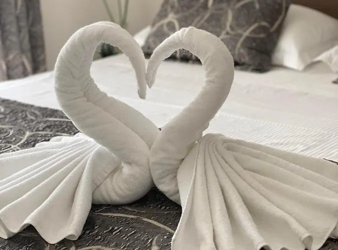 Ivo Apartman Promajna